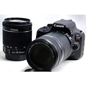 SONY α55 レンズキット　バッテリー　sdカード SONY α55 レンズキット バッテリー sdカード