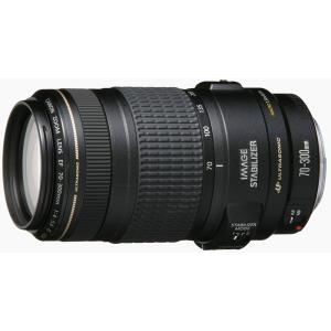 キヤノン Canon EF 75-300mm f/4-5.6 III 美品 EFマウント 望遠 キヤノン Canon EF 75-300mm f/4-5.6 III 美品 EFマウント 望遠