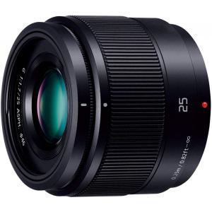 Panasonic パナソニック NV-GX7K デジタルビデオカメラ ミニDVカセット