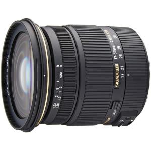 キヤノン（Canon） Canon EOS 10D ダブルズームセット 美品 ストラップ