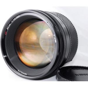 Nikon 双眼鏡 アクションEX 8X40CF ポロプリズム式 8倍40口径 AEX8X40