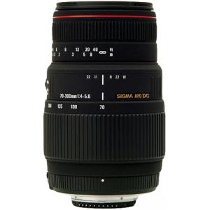DG（シグマ） シグマ SIGMA APO 70-300mm F4-5.6 DG MACRO キヤノン用