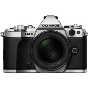 α（ソニー） ソニー SONY α6000 シルバーボディ E 55-210mm シルバー