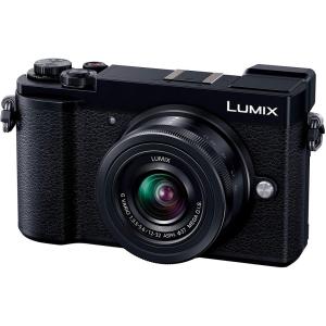 LUMIX パナソニック Panasonic GX7 MarkIII DC-GX7MK3 ボディ