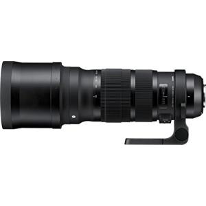 Canon 120-300mm F2.8 DG OS HSM 交換レンズ 良品 動作確認済み 1ヶ月保証付