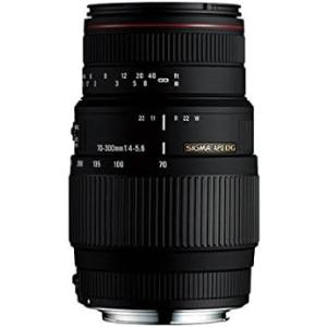 Canon 望遠ズームレンズ EF-M55-200ISSTM EF-M55-200mm F4.5-6.3 IS STM - キヤノンカメラミュージアム