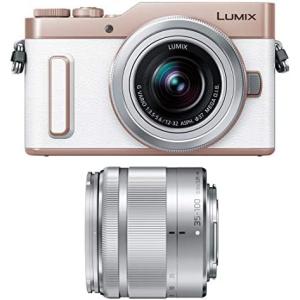 パナソニック 単焦点 広角パンケーキレンズ マイクロフォーサーズ用