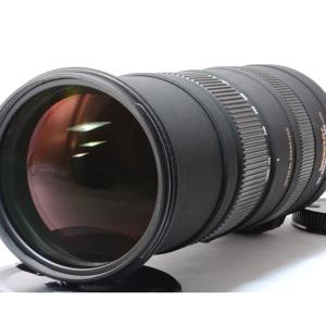 シグマ SIGMA APO 150-500mm F5-6.3 DG OS HSM キヤノン Canon EFマウント 美品 超望遠ズームレンズ  フード付き &lt;プレゼント包装承ります&gt;