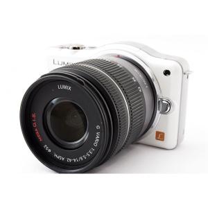 LUMIX パナソニック ミラーレス Panasonic DMC-GF2 ダブルレンズキット