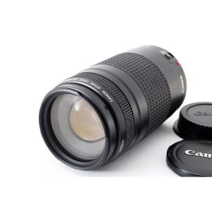 キヤノン Canon EF 75-300mm f/4-5.6 III 美品 EFマウント 望遠