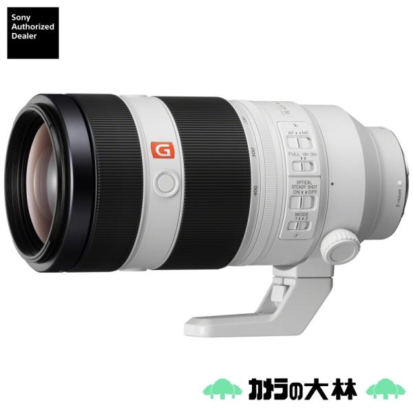 fe 100-400gm