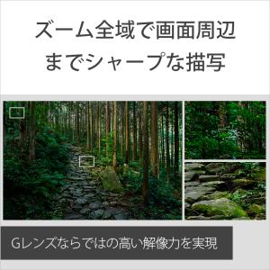 [新品]SONY ソニー FE 24-105m...の詳細画像3