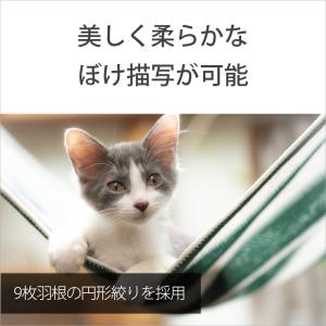 [新品]SONY ソニー FE 24-105m...の詳細画像5