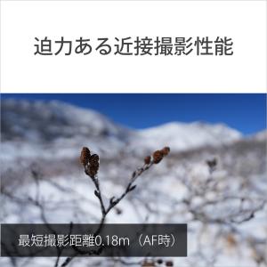 [新品]SONY ソニー FE 16-25mm...の詳細画像5