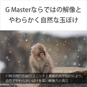 [新品]SONY ソニー FE 100-400...の詳細画像2