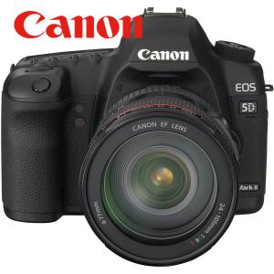 キヤノン Canon EOS 5D Mark II  EF 24-105mm USM レンズセット ...