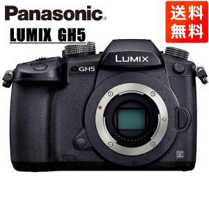 LUMIX パナソニック Panasonic ルミックス G8 ボディ ミラーレス一眼