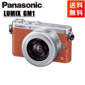 Panasonic パナソニック GM1S レンズキット ブルー SDカード付き