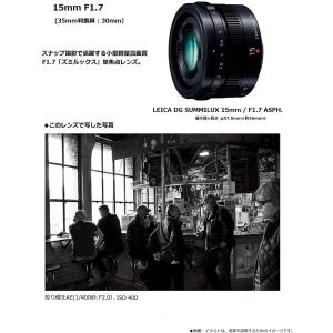パナソニック Panasonic LEICA ...の詳細画像1