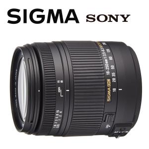 EFレンズ キヤノン Canon EF 28-70mm F2.8L USM 一眼レフ カメラ