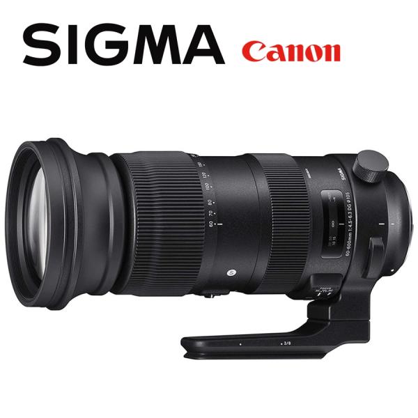 シグマ SIGMA Sports 60-600mm F4.5-6.3 DG OS HSM キヤノン用...