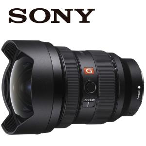 SONY（ソニー） SONY E 16-55mm F2.8 G SEL1655G ズームレンズ APS-C用