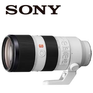 SONY（ソニー） SONY E 16mm F2.8 SEL16F28 単焦点レンズ Eマウント