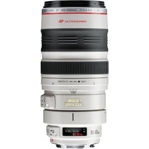 キヤノン Canon EF 100-400mm F4.5-5.6L IS USM 望遠レンズ フルサ...