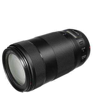 EF-S キヤノン Canon 55-250mm F4-5.6 IS STM 望遠レンズ 一眼