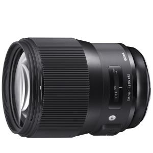 DG（シグマ） シグマ SIGMA APO 50-500mm F4.5-6.3 DG OS HSM 超望遠