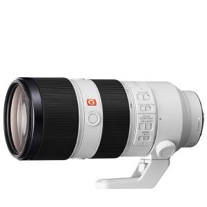 SONY（ソニー） α[Eマウント]用レンズ SEL24240 FE 24-240mm F3.5-6.3
