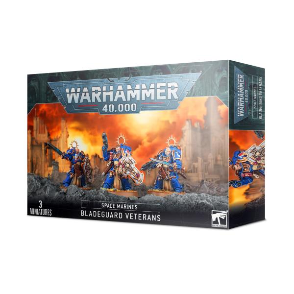 スペースマリーン　ブレイドガード・ベテラン  Space Marines Bladeguard Ve...