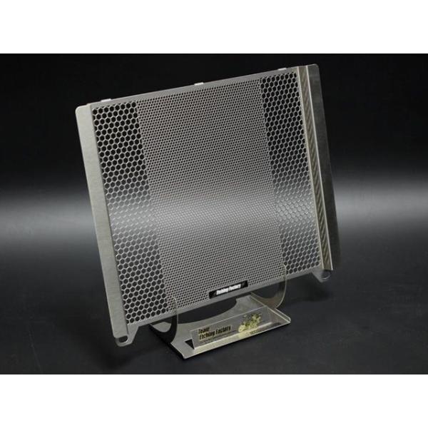 エッチングファクトリー BALIUS250 BALIUS250（91-07）用 ラジエターコアガード...