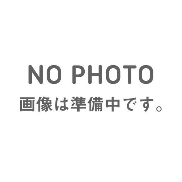 正規品／バイカーズ KSR110プロ フロントフォークガード 2ケ カラー：グレー BIKERS バ...
