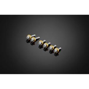 バイカーズ ニンジャZX-25R スクリーン用ステンボルトセット カラー：ライトゴールド BIKERS