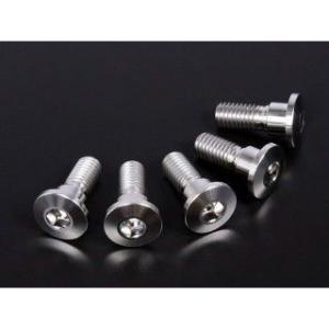 ジータ チタン ブレーキディスクボルト 極低頭 φ10-M8×22（5本） フロント/リヤ ZETA