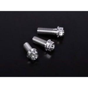 ジータ 汎用 チタン フランジボルト スタンダード M10 P=1.5 サイズ M10×25mm Z...