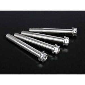 ジータ 汎用 チタン キャリパーマウントボルト M10 P=1.25 サイズ M10×75mm ZE...