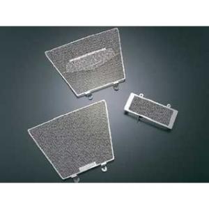 アグラス GSX-R1000 ラジエターコアガード タイプ Aタイプ（AGRASロゴ有り） AGRA...