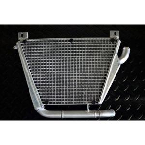 7〜12日以内発送 ビートジャパン ZX-25R ZX-4R サブラジエター BEET - 最安値・価格比較