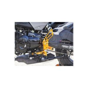 ヤマハ　YZF -R1/R1M(2020~)　サービスマニュアル babyface（ベビーフェイス） パフォーマンスステップキット カラー