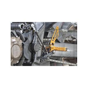 STRIKER（ストライカー） スペシャルステップキット CBR650R CB650R