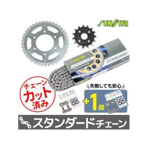 BEET（ビート） ビートジャパン Z900RS ラジエターガード : モトメガネ