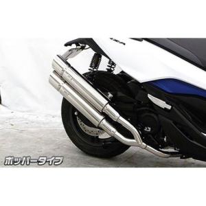 BEAMS（ビームス） バイク用 マフラー ズーマー50 BA - AF58 フルエキ