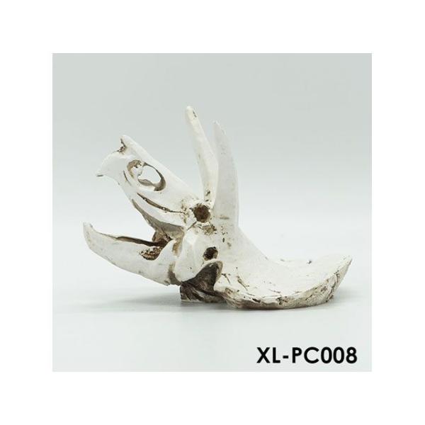 正規品／アルファテック XL-PC008 骨格/化石（小）恐竜 水槽 ケージ 飼育ケース インテリア...