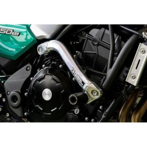 アクティブ パフォーマンスダンパー 13691705 Z650RS 23-25