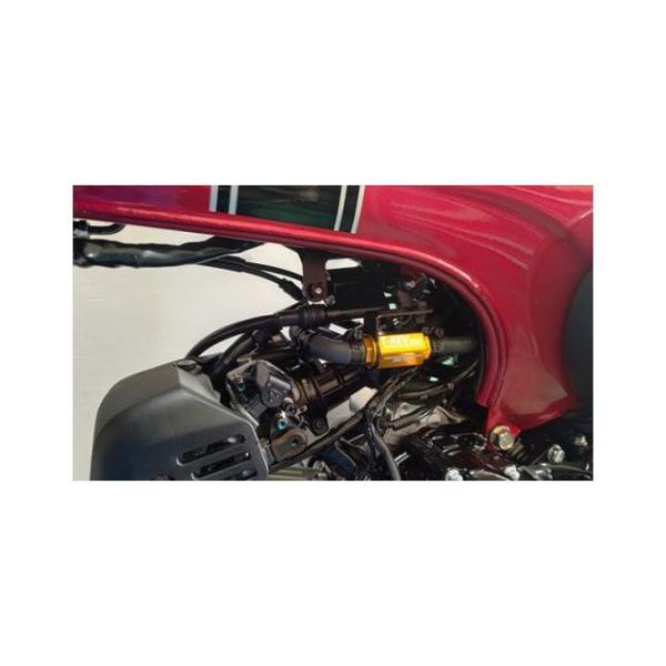 テラモト Dax125 T-REVmini Dax125 JB04 SPキット（ゴールド） TERA...