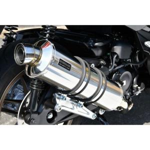 Garage T＆F ガレージT&F ビラーゴ250 ハイマウントスリムスポーツ