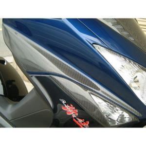ACP JADE ジェイド用CBXタイプテールキット : モトメガネ2号店 - 通販