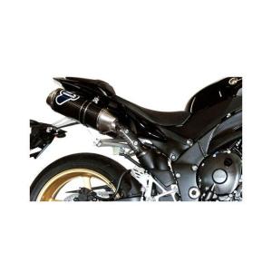 テルミニョーニ R1 4X2X1X2 SBC コレクターS オーバル ステンレス スリーブ： カーボン TERMIGNONI